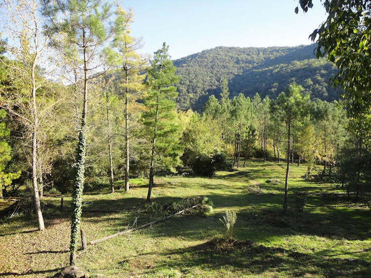 Mas Campolier — Sant Ferriol — photo 5