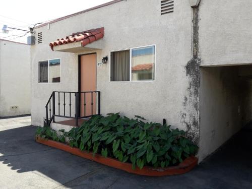 World Motel - photo 19