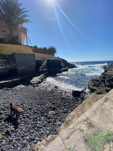 Coqueto Piso A 2 Min De La Playa — Guimar