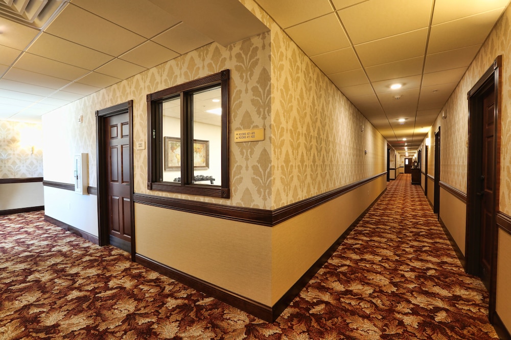 Arrow Hotel - photo 14