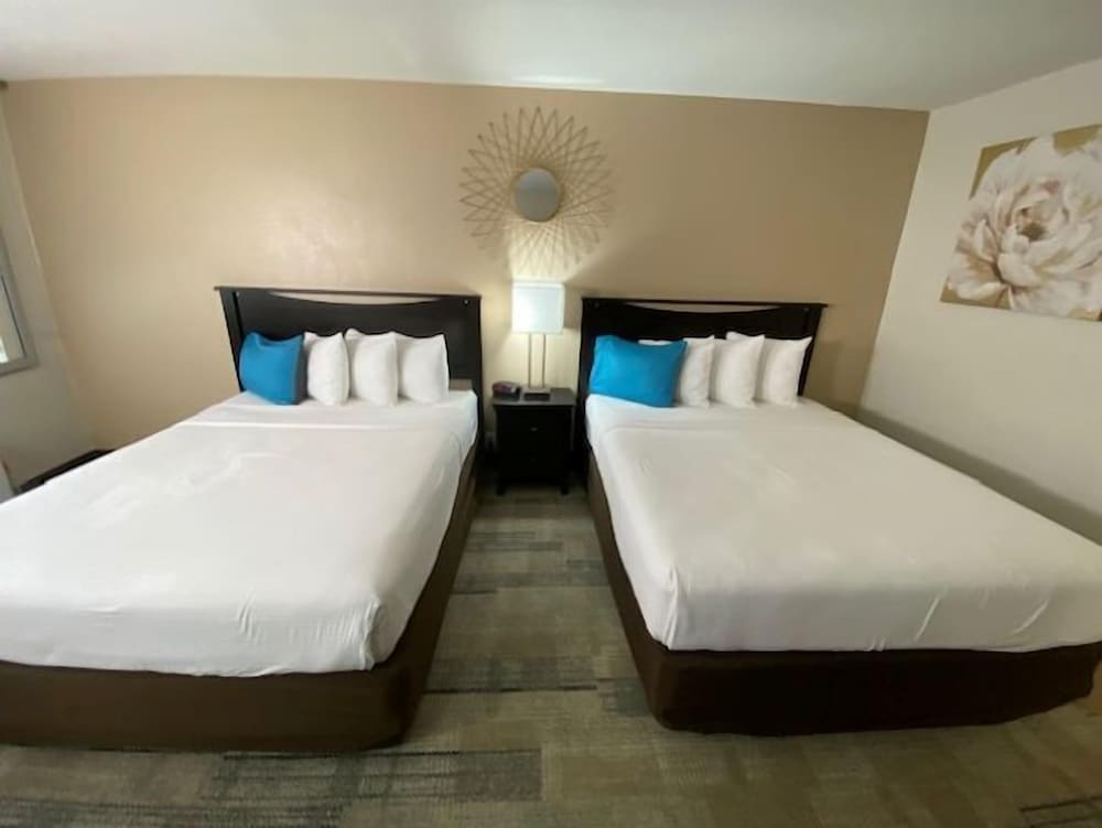 Stanford Inn & Suites Anaheim - photo 19
