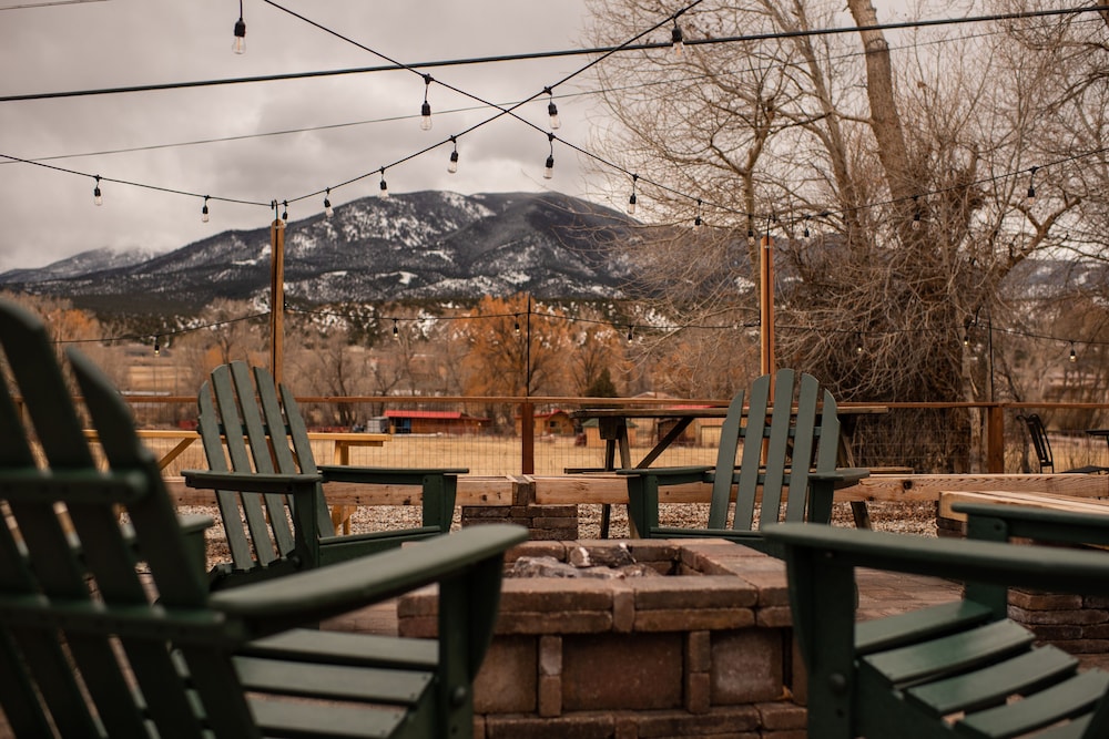 Loyal Duke Lodge - photo 47