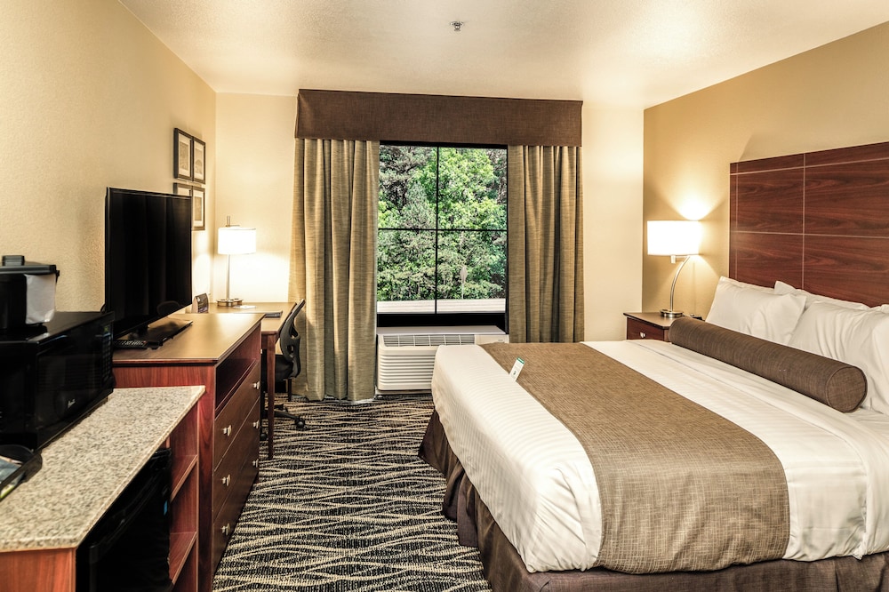 Cobblestone Inn & Suites Fairfield Bay - photo 14