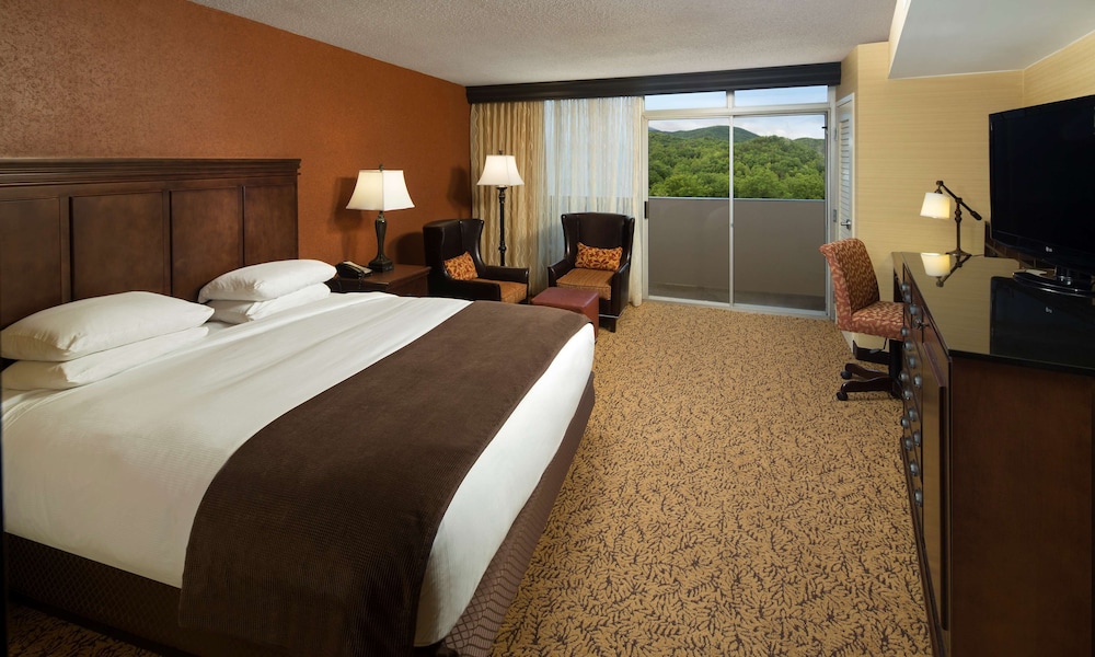 The Park Vista a DoubleTree by Hilton Hotel Gatlinburg - photo 11