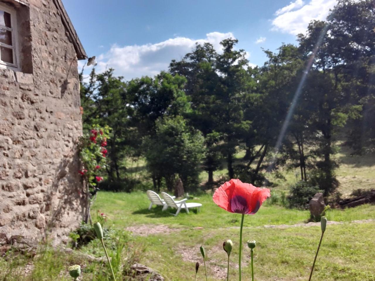 Magnifique Moulin Au Bord D’une Riviere Calme Absolu Piano pet-friendly hotel Doyet