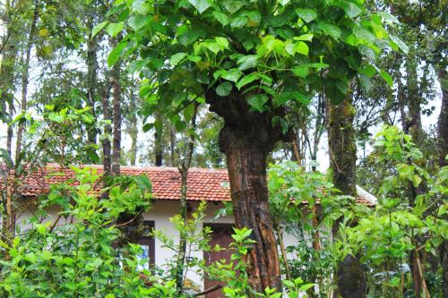 Vastare Homestay and Resort in Chikmagalur, India
