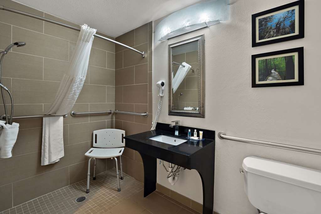 Comfort Inn & Suites Santee - photo 11