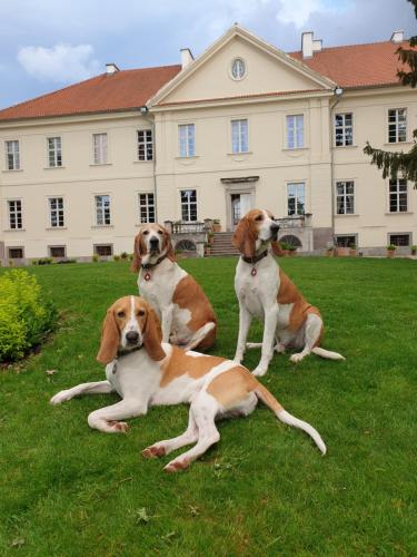 Palac Nakomiady in Ketrzyn, Poland