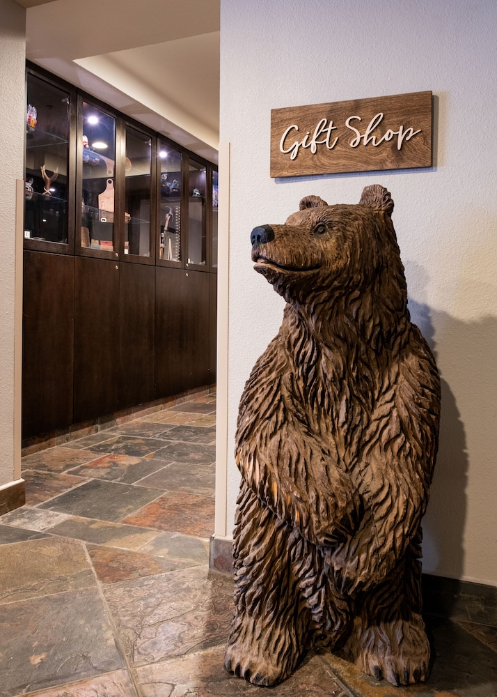 Yosemite Southgate Hotel & Suites - photo 34