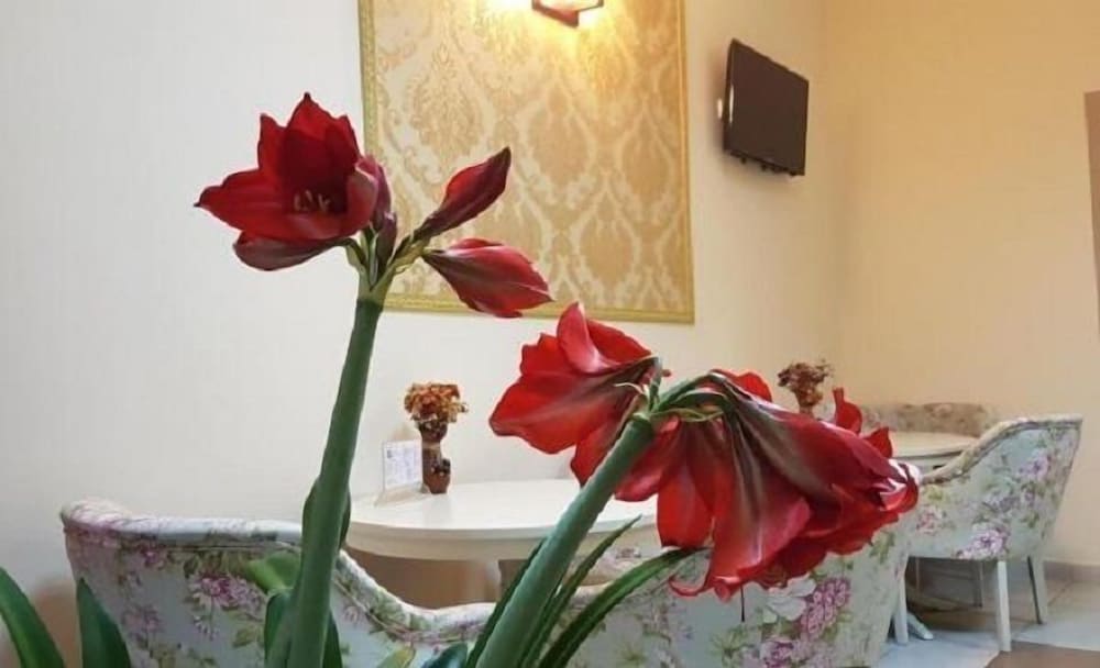 Hotel New - carbon neutral hotel in Baia Mare