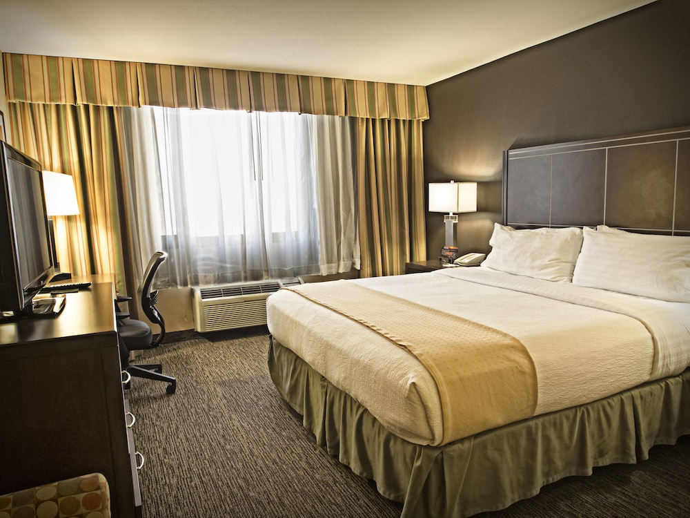 Holiday Inn Hotel & Suites Anaheim an IHG Hotel - photo 3