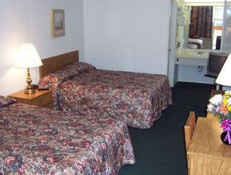 Vienna Wolf Trap Hotel - photo 6