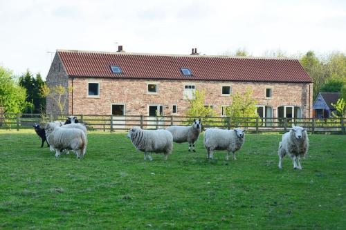 Luxury Barn with sauna near York welcoming families friends groups