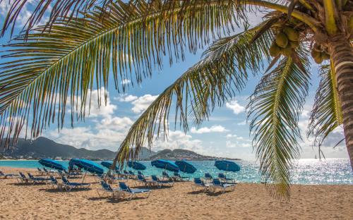 El Zafiro Boutique Hotel — hotel near Princess Juliana International Airport