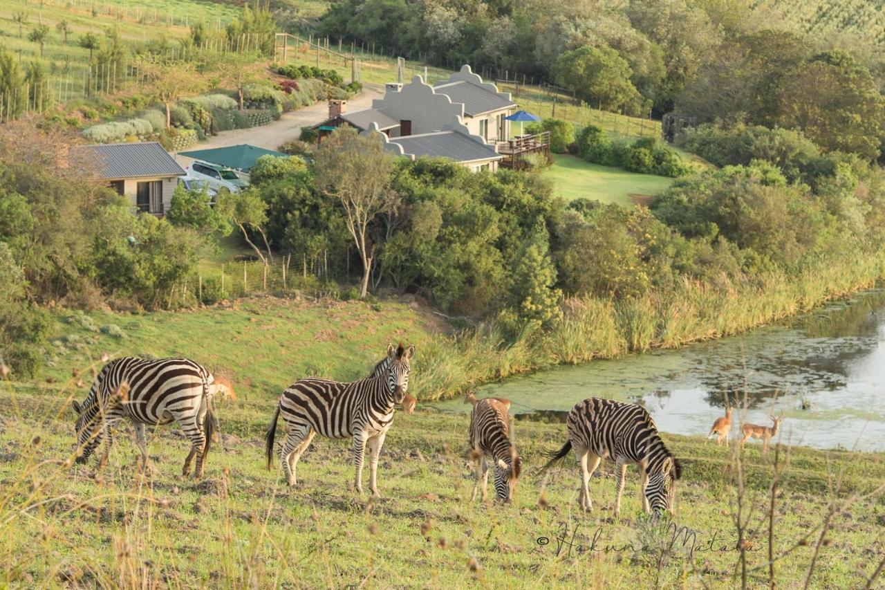 Hakuna Matata Game Farm - last minute hotel in Groot Brakrivier