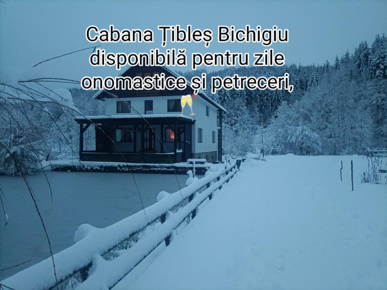 Cabana Țibleș pet-friendly hotel Bichigiu