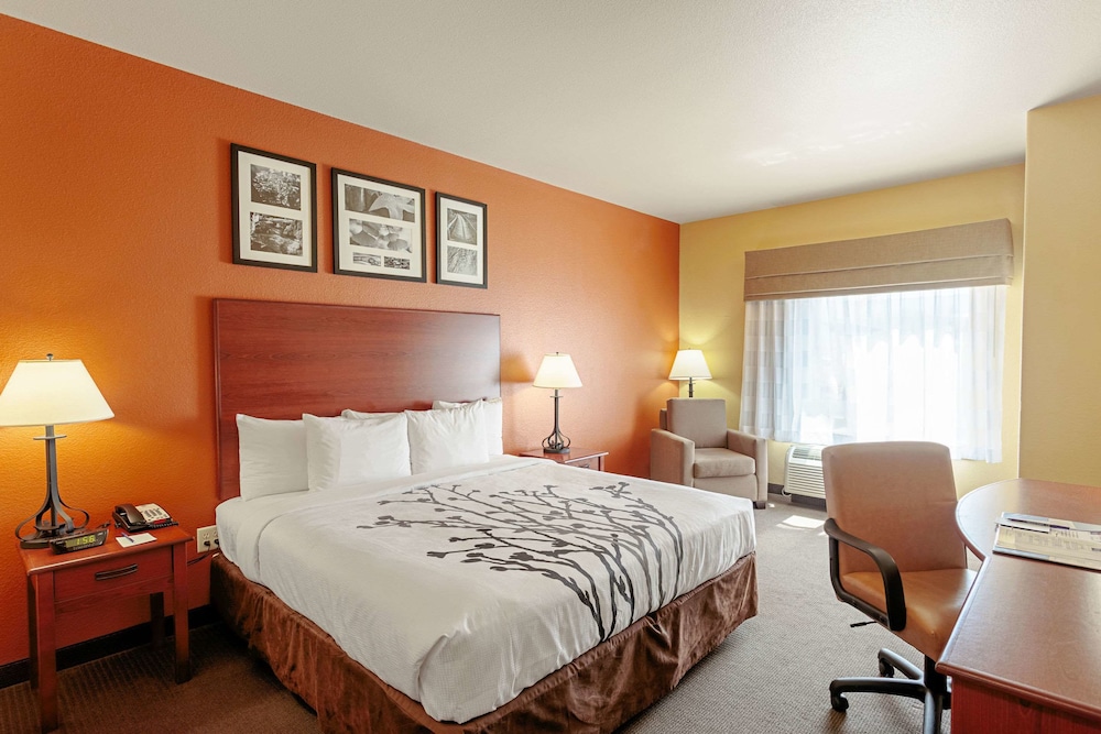 Sleep Inn & Suites Tyler South - photo 8