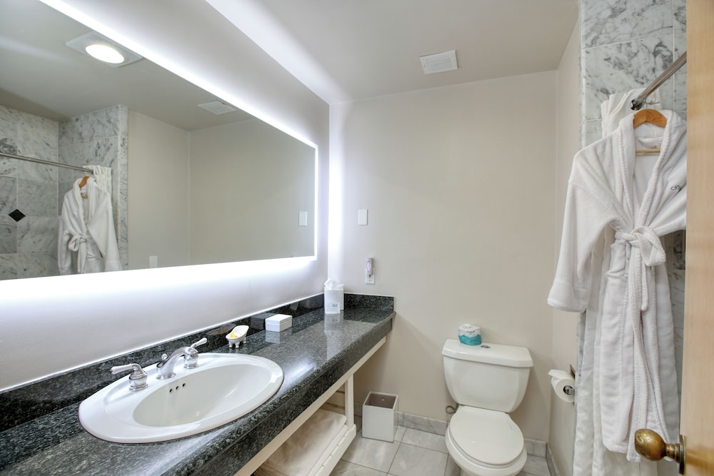 SeaVenture Beach Hotel - photo 13
