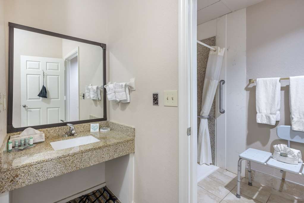 Best Western Spring Hill Inn & Suites - photo 22