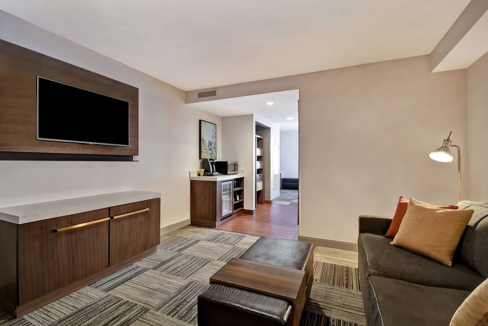 Hilton Garden Inn Houston Galleria Area - photo 19