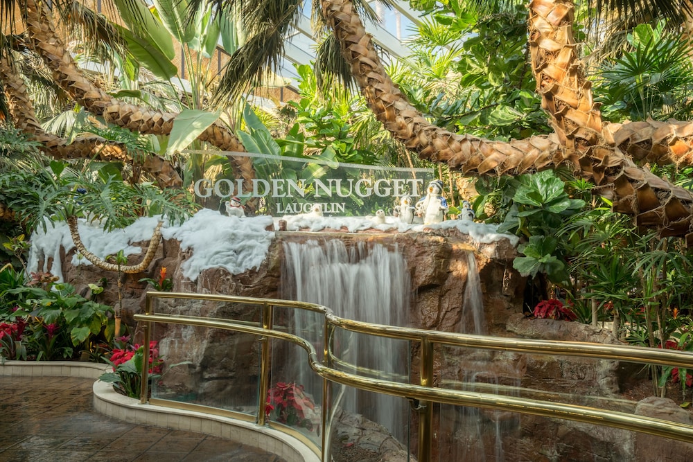 Golden Nugget Laughlin - photo 31