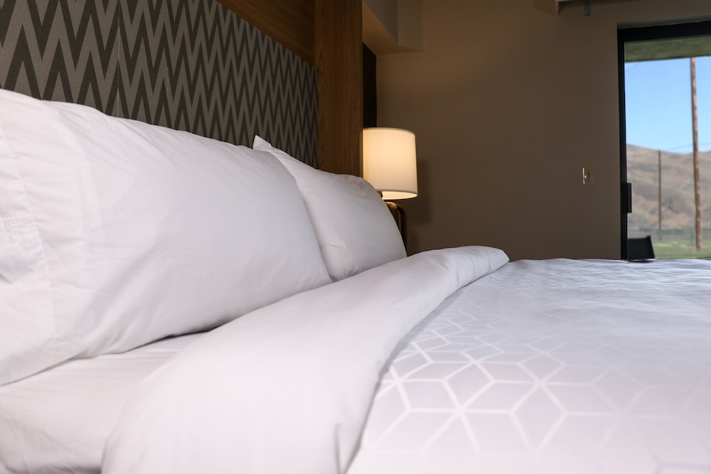 Holiday Inn Clarkston Lewiston by IHG - photo 24