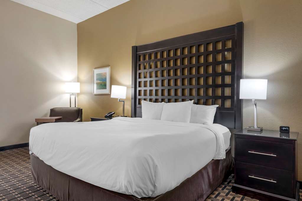 Comfort Inn Sherman - photo 19