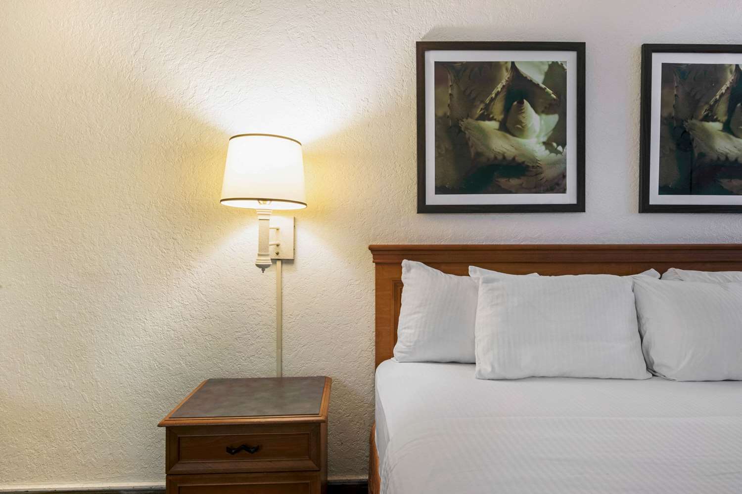 La Quinta Inn by Wyndham San Antonio I 35 N at Rittiman Rd - photo 36