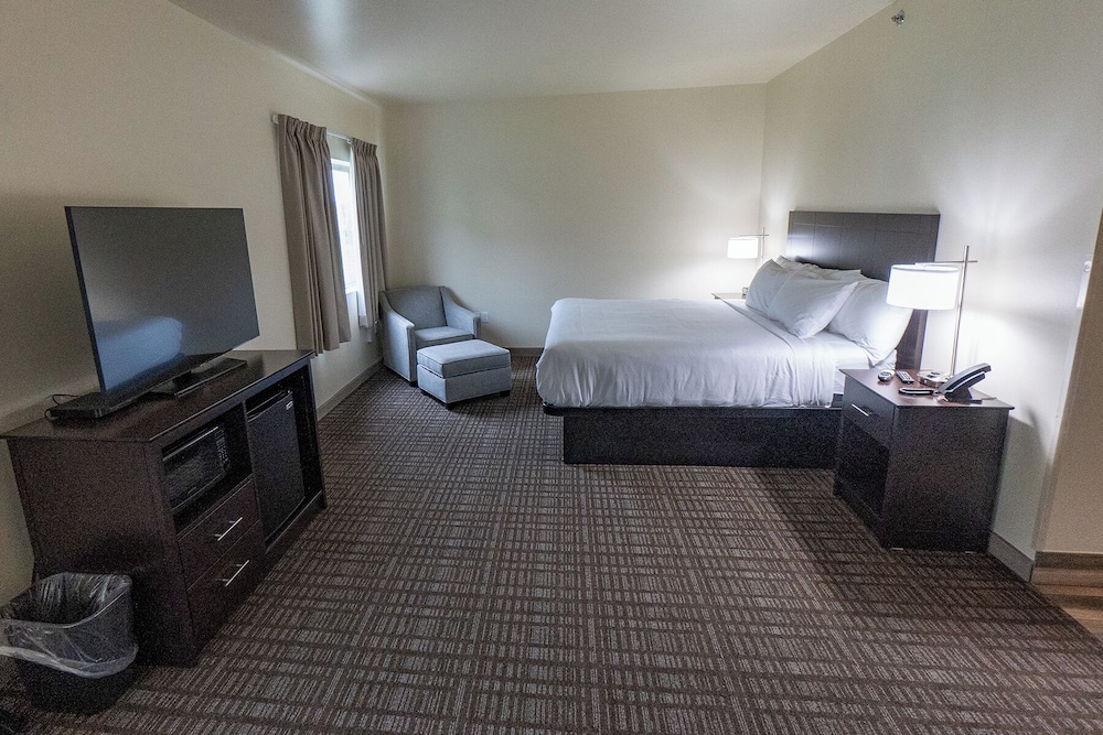 Cobblestone Inn & Suites Sheldon - photo 16