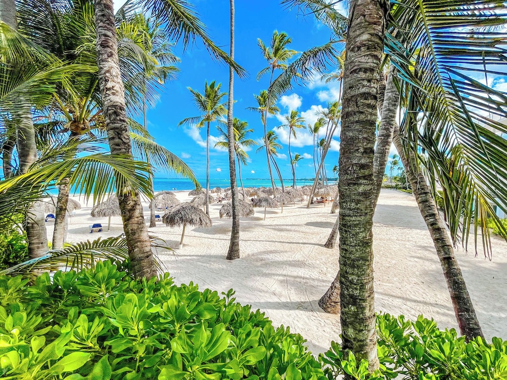 Studios Rooftop Pool & Beach - carbon neutral hotel in Punta Cana