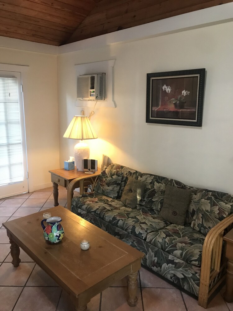New Orleans House Gay Men Adult Resort - photo 37