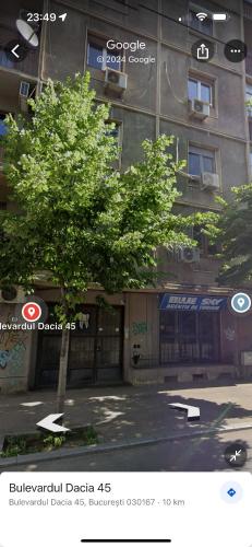 Studio Jungle breath City centre — 4-Star Luxury Hotel in Bucharest, Romania