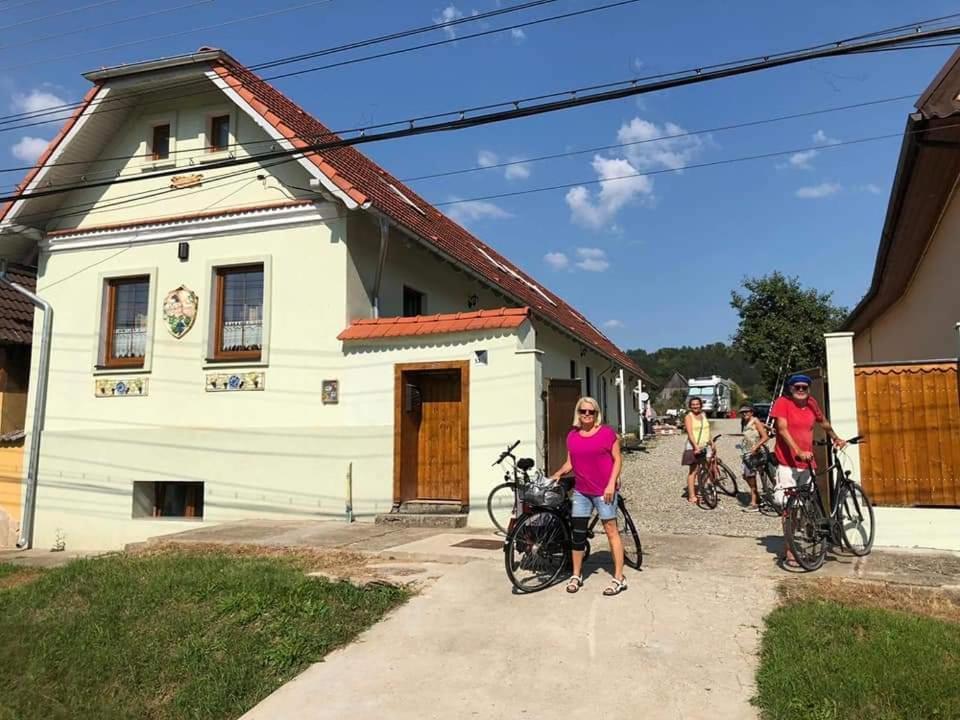 Retro Regina — hotel in Bazna