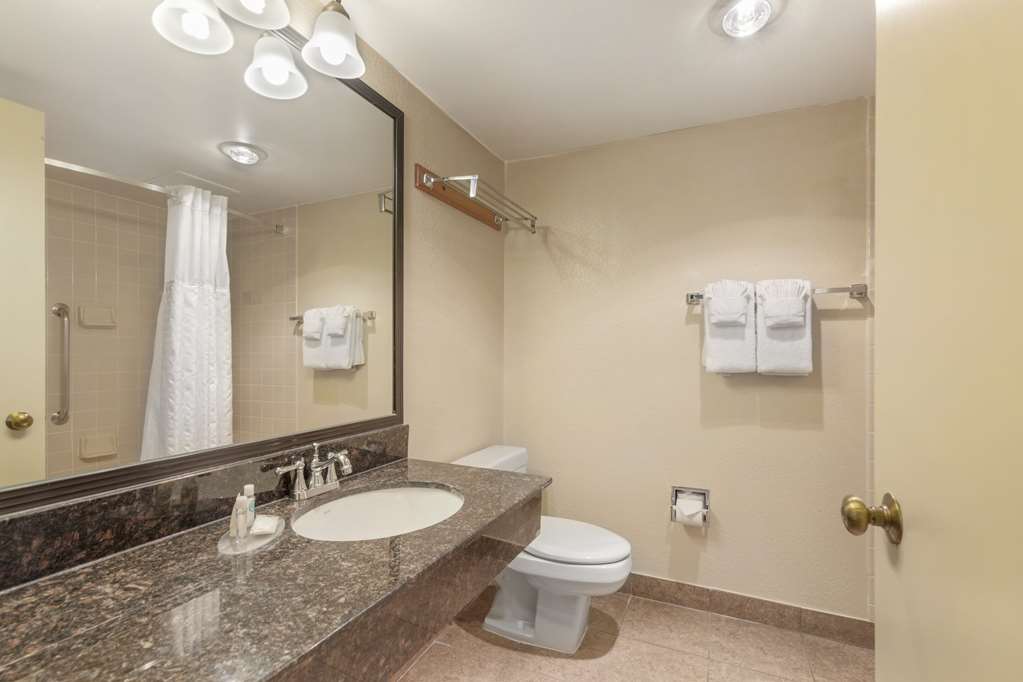 Comfort Inn University Center - photo 25