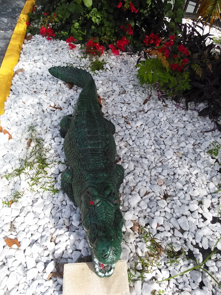 Merida Inn and Suites - photo 41