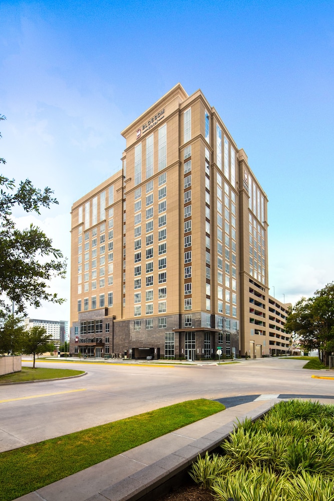 Blossom Hotel Houston Curio Collection by Hilton - photo 113
