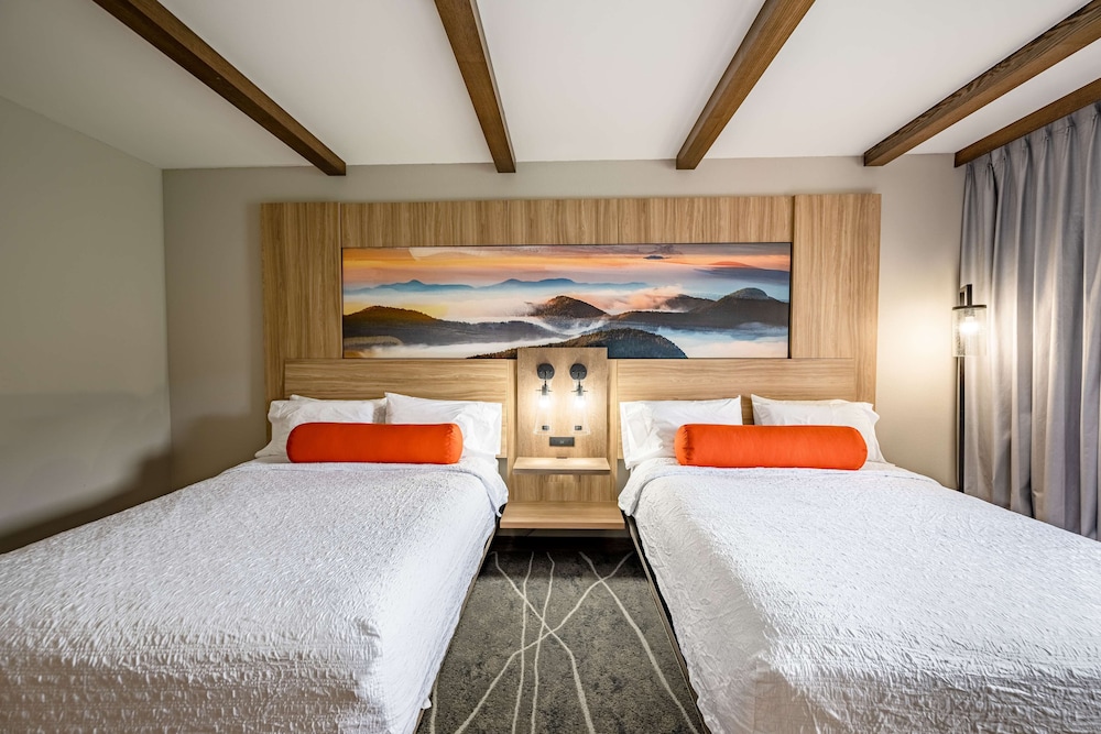 Hampton Inn & Suites Cashiers Sapphire Valley - photo 4