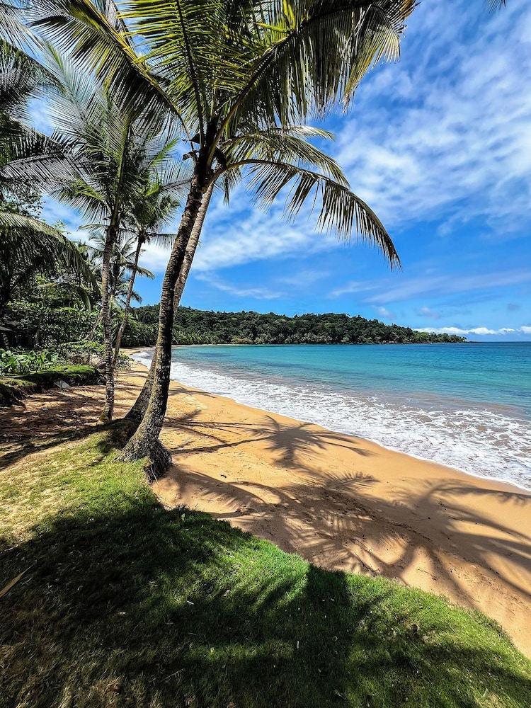 Bom Bom Principe Collection in Santo Antonio, Sao Tomé and Príncipe