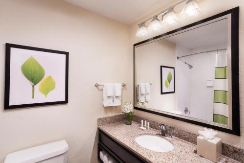 Fairfield Inn By Marriott Albuquerque University Area - photo 5