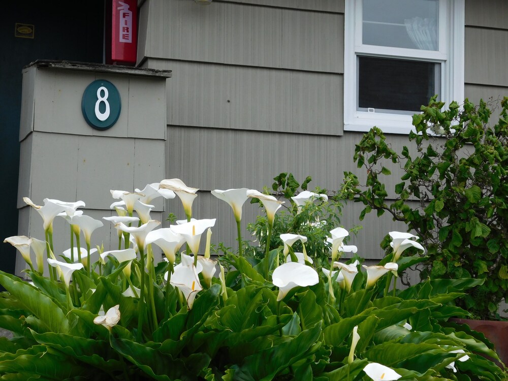 The Anchorage Cottages - photo 66