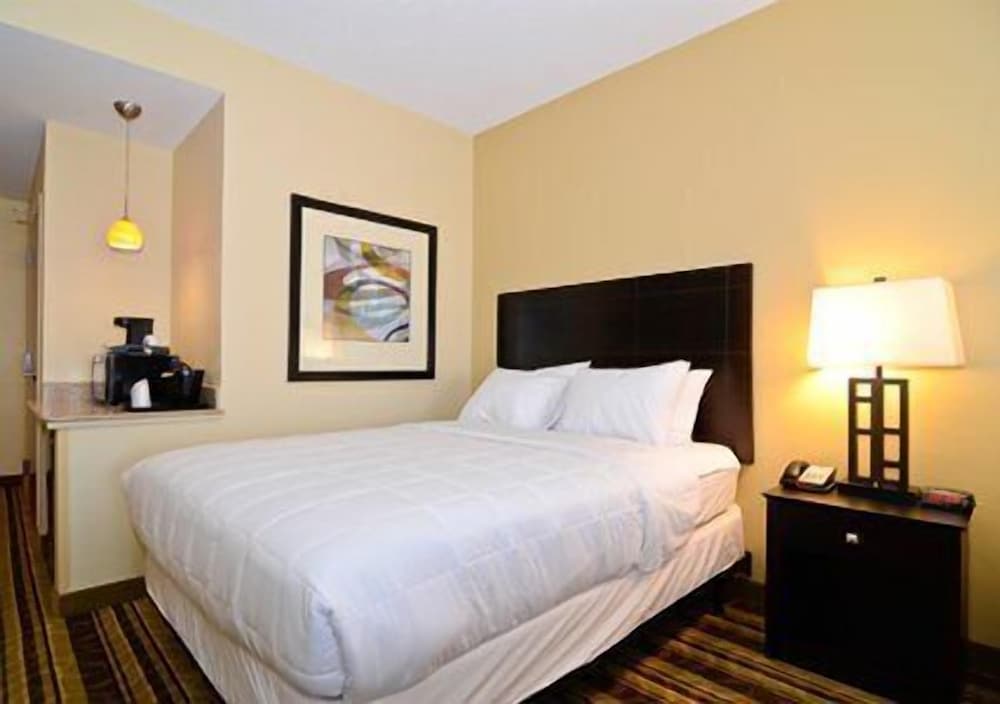 Hampton Inn Oak Grove Fort Campbell - photo 4