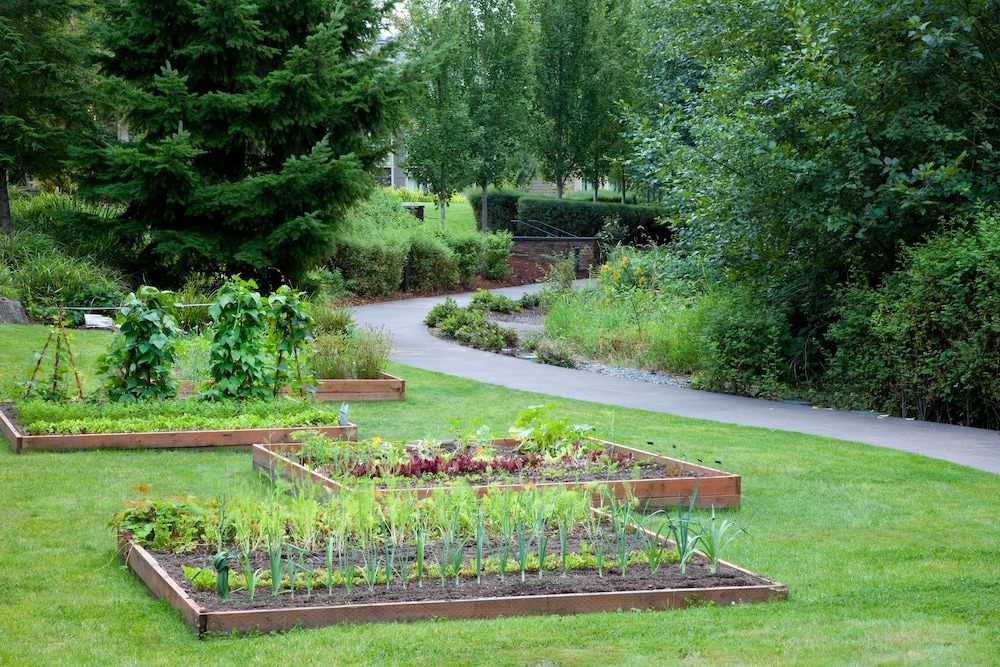 Cedarbrook Lodge - photo 25