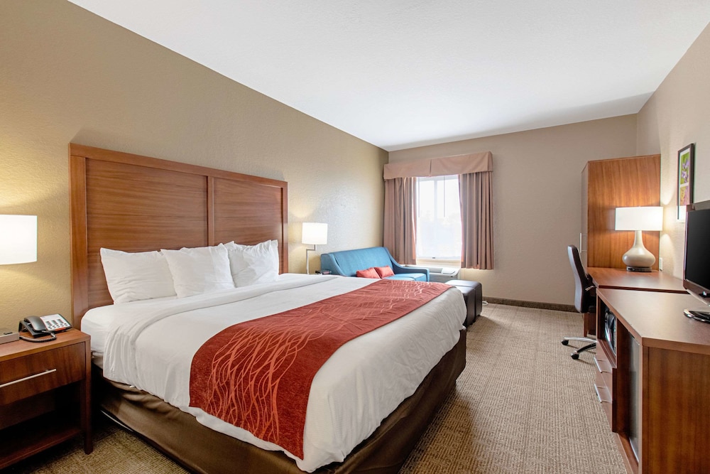 Comfort Inn and Suites Fredericksburg - photo 8