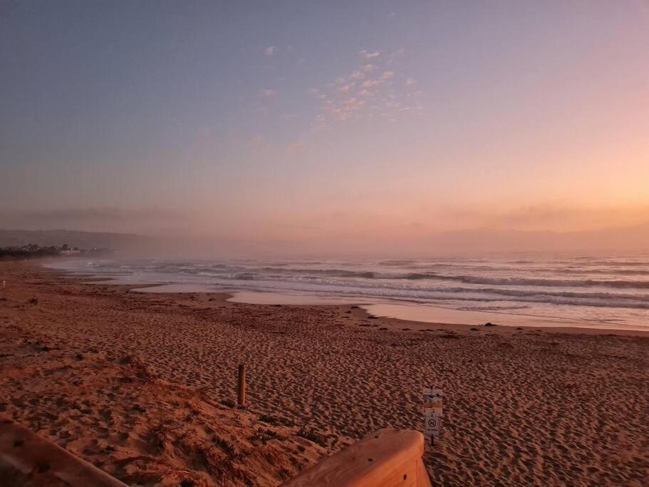 Putty’s @ Marengo — Apollo Bay — photo 4