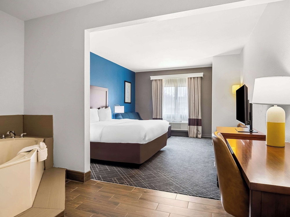Comfort Suites Lindale Tyler North - photo 20