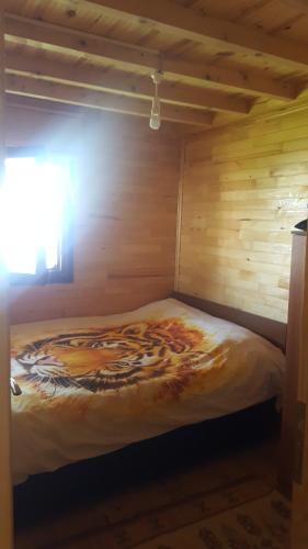 Yeşilyurt dağ tesisi pet-friendly hotel Yenikoy