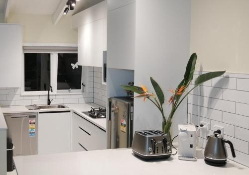 Takapuna Centre 3B plus Netflix — 4-Star Luxury Hotel in Auckland, New Zealand