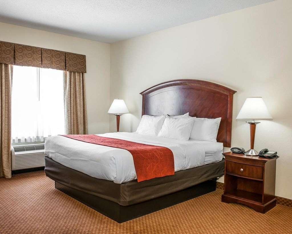 Comfort Suites near Indianapolis Airport - photo 8