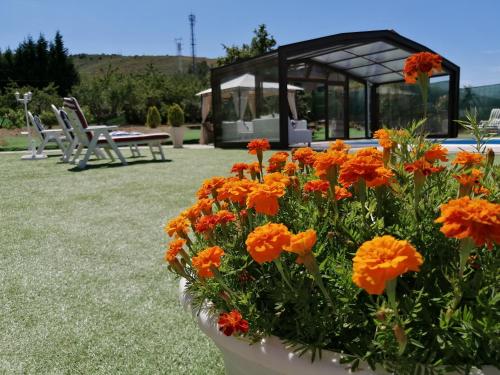 Casa Rural Elias — 4-Star Luxury Hotel in Molinaseca, Spain