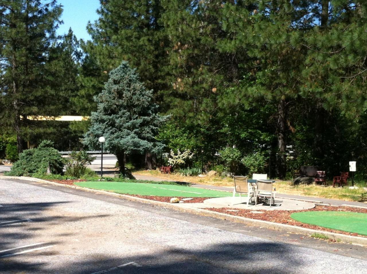 Golden Chain Motel - photo 14